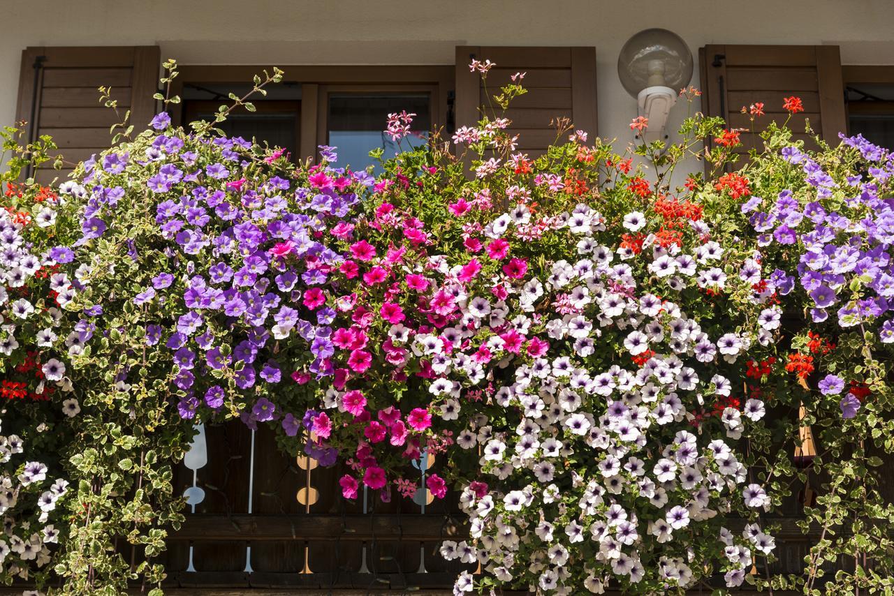 Hotel Gratschwirt Toblach Exteriör bild
